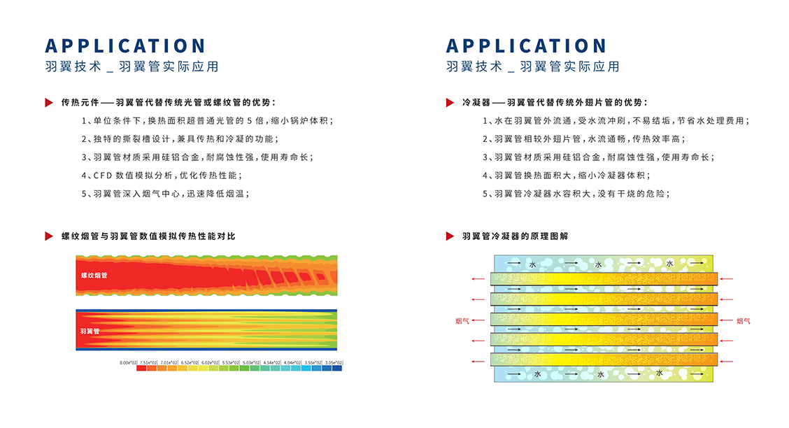 羽翼2.jpg 羽翼2.jpg